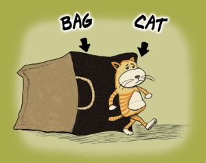 http://classywithatwist.files.wordpress.com/2011/04/cats-out-of-the-bag.jpg?w=300&h=237